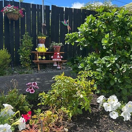 Admirals Lodge Picton Bagian luar foto